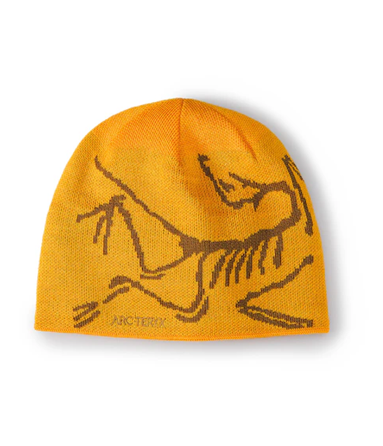Bonnet Arc'teryx